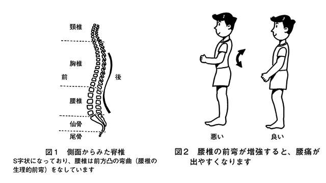 腰痛の誘因 原因 剣道家の腰痛 全日本剣道連盟 Ajkf