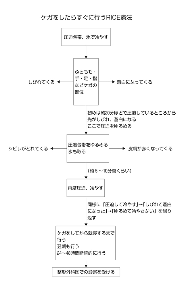 Rice処置 主なケガの応急処置 前編 全日本剣道連盟 Ajkf